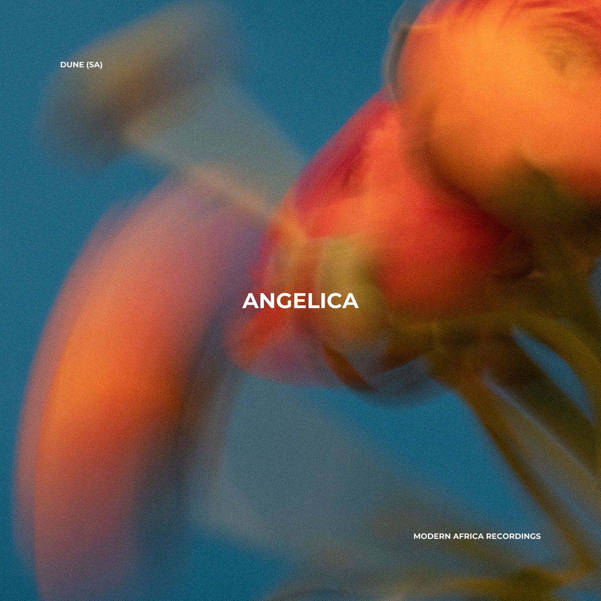 Cover artwork for Angelica by Dune (SA), Casis, Atla